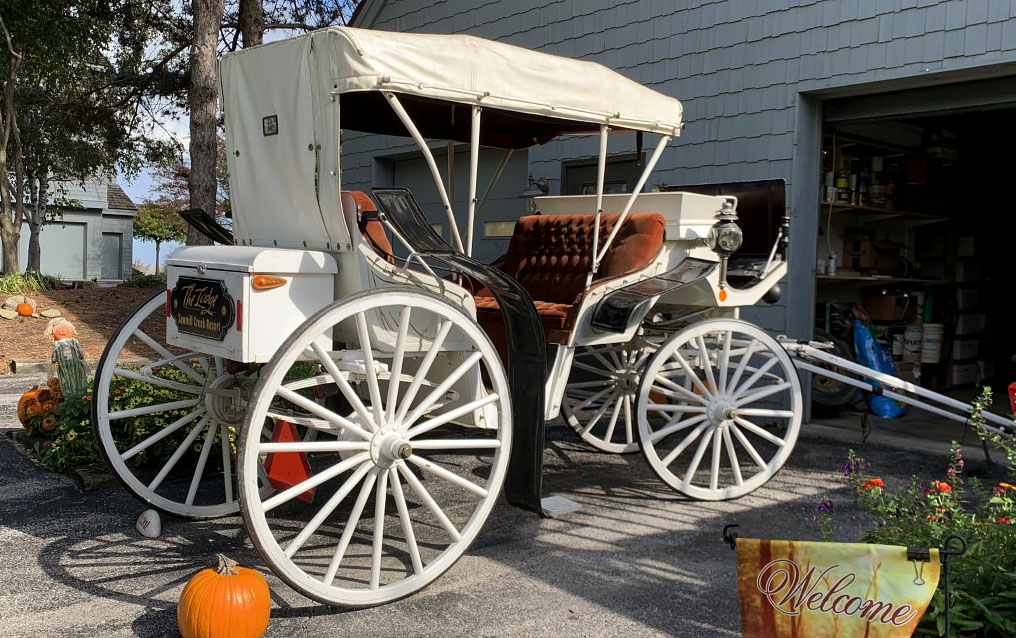 stylish white horse carriage for sale